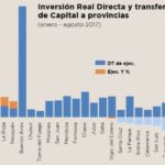 saglione-grafico
