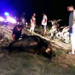 GUADALUPE NORTE – LESIONES CULPOSAS (1)