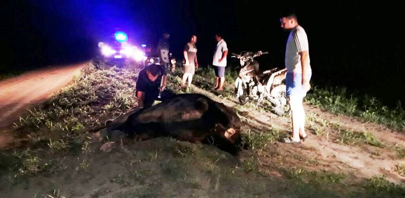 GUADALUPE NORTE - LESIONES CULPOSAS (1)