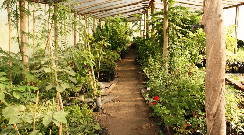 Jaaukanigas 001
