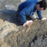 miramar-Mariano Magnussen exhumando las huellas fosiles