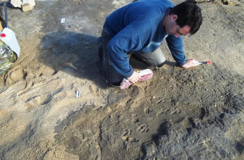 miramar-Mariano Magnussen exhumando las huellas fosiles
