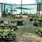 toscas territorio productivo 3