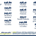 rosgan-precio-agosto1