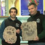 SAMSUNG CAMERA PICTURES