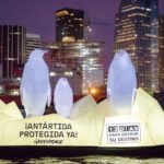 Pingüinos en el Río de la Plata