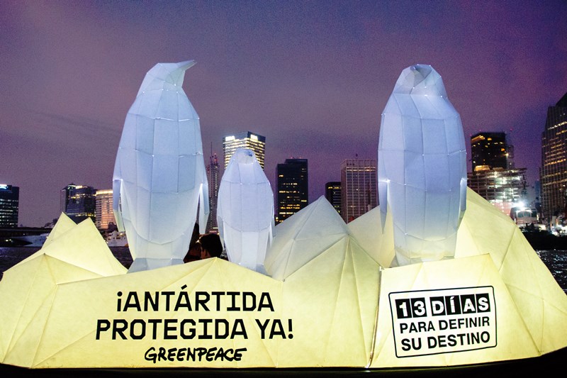 Pingüinos en el Río de la Plata