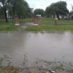 los-amores2_WEB-SIN-MARCA