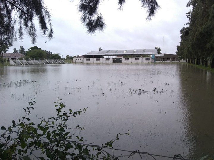 los-amores4_WEB-SIN-MARCA