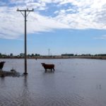 hay 1.700.000 hectáreas afectadas por las inundaciones en Santa Fe. REUTERS/Marcos Brindicci