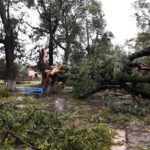 guillermina-vientos1