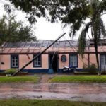 guillermina-vientos2