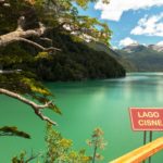 Alerzal Milenario Rio Cisne.jpg