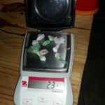 WhatsApp Image 2019-06-01 at 11.55.09