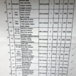 pesca-mujeres-ganadores