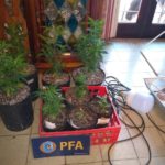 WhatsApp Image 2019-07-17 at 5.59.44 PM (1)