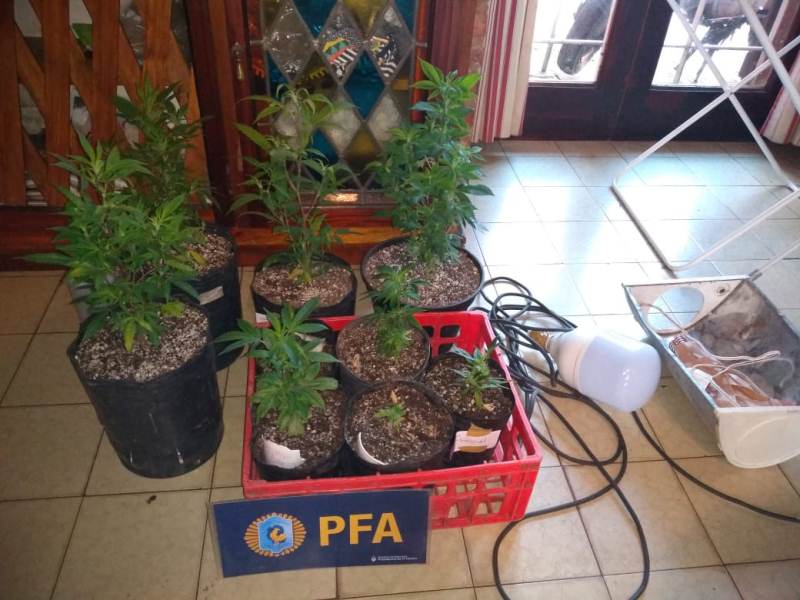 WhatsApp Image 2019-07-17 at 5.59.44 PM (1)