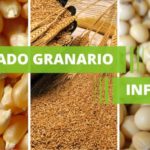 agro-logo