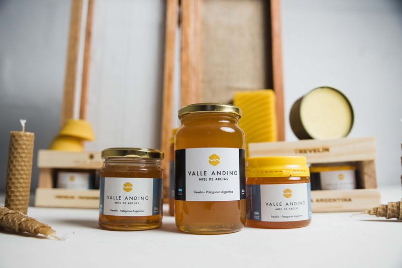 Valle Andino Apícola de Esquel y Trevelin (2)