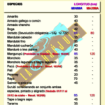 ESPECIES-MEDIDAS