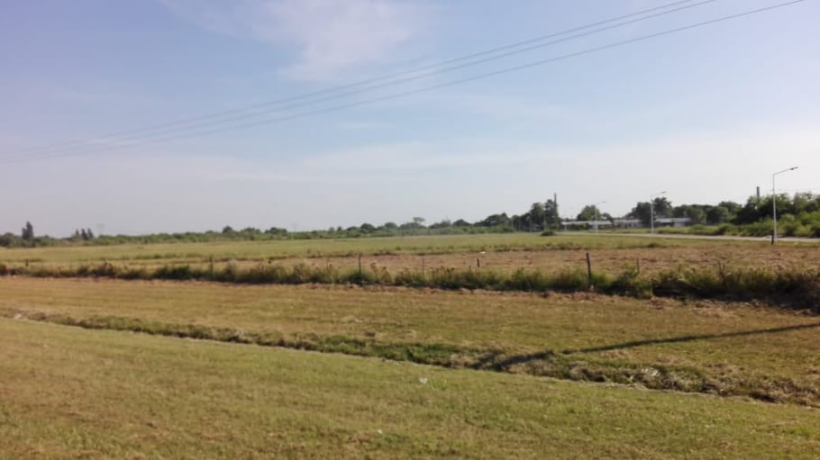 cotelvo limpieza loteo