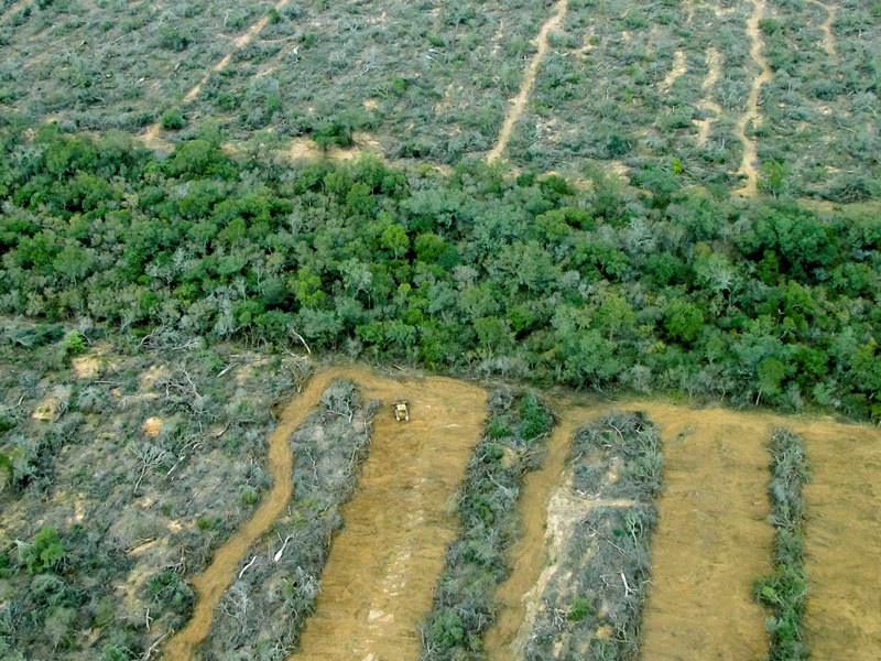 Salta, Julio de 2013. Fotos Aereas del desmonte en la Finca San Francisco, Provincia de Salta.  (c) Greenpeace