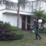 fumigacion1