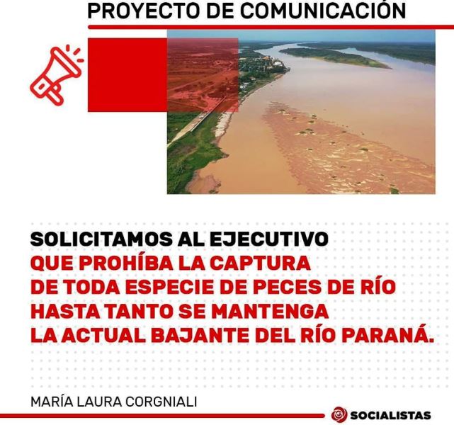 proyecto