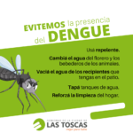 dengue