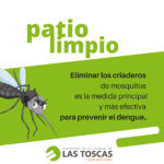 dengue1