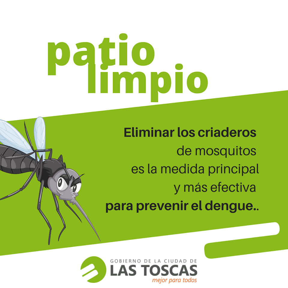 dengue1