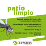 dengue2