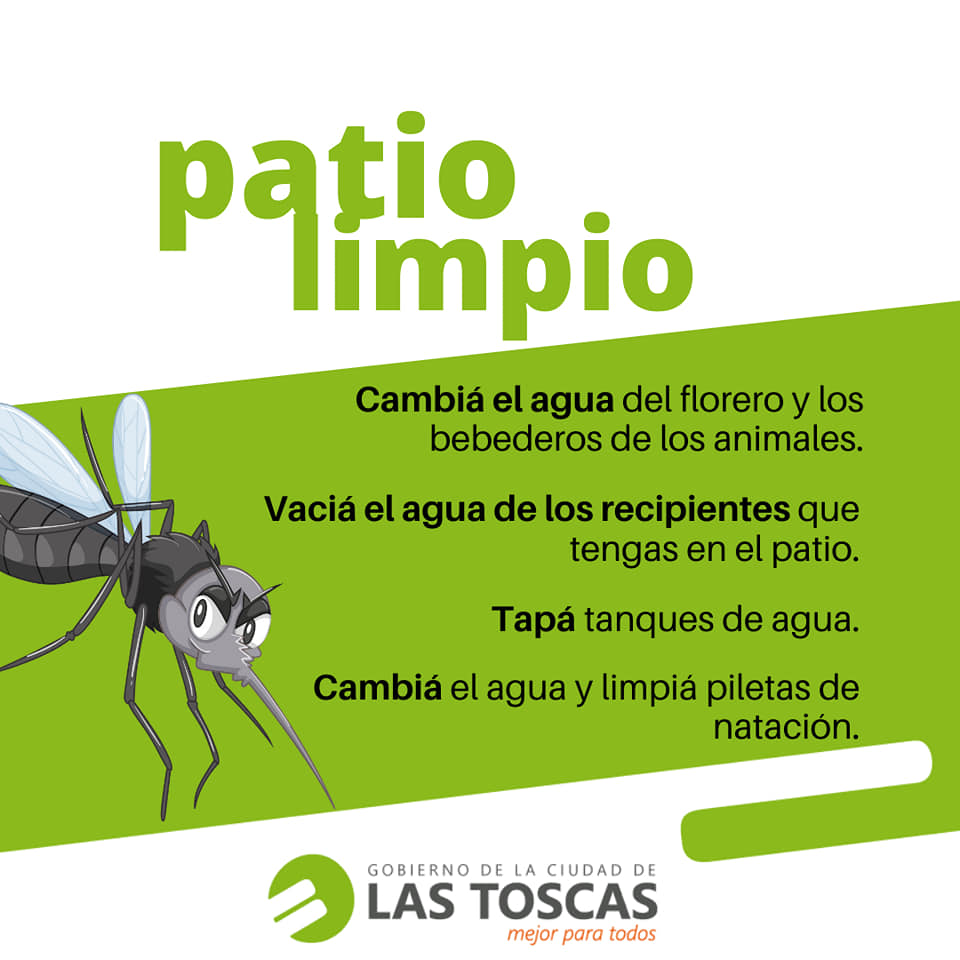 dengue2