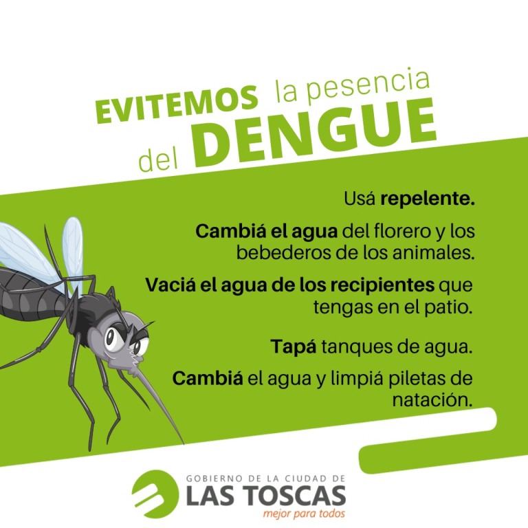 dengue4