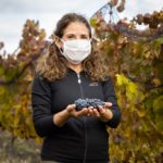 vendimia 29 abril-52