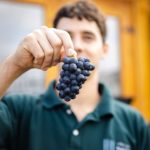 vendimia 29 abril-55