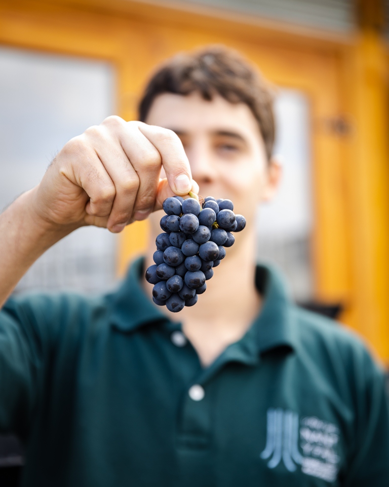 vendimia 29 abril-55