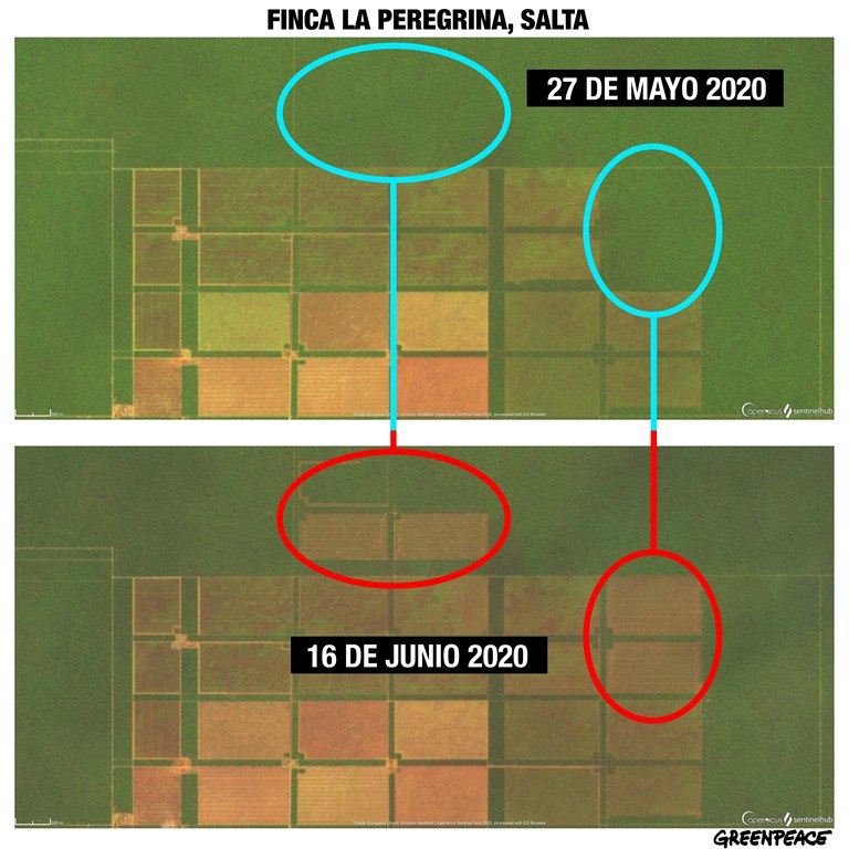 Comparativa Satelitales Finca La Peregrina