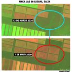 Comparativa Satelitales Finca Las 86 Leguas