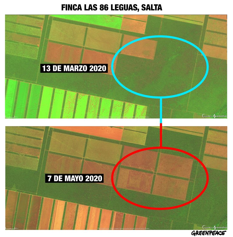 Comparativa Satelitales Finca Las 86 Leguas