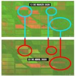 Comparativa Satelitales Finca San Francisco