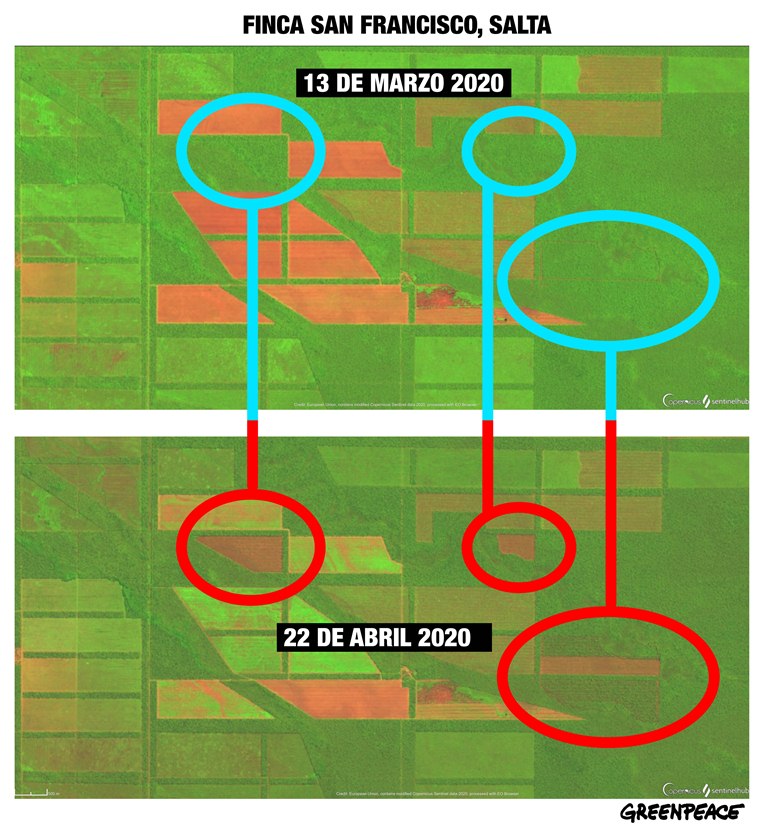 Comparativa Satelitales Finca San Francisco