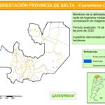 Mapa Desmontes en Salta del 15 de marzo al 15 de junio 2020