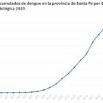 dengue grafico1