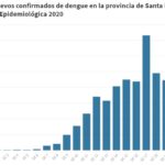 dengue grafico4