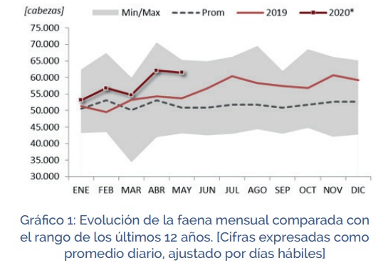 grafico1