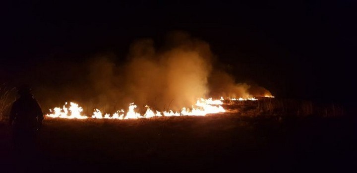 incendio-campos
