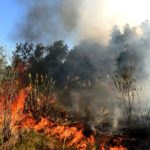 GPA_IncendiosDelta_14