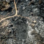 GPA_Sobrevuelo Incendios Cordoba 9