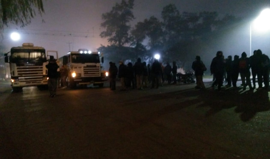 corte-parque-14-8-20-2